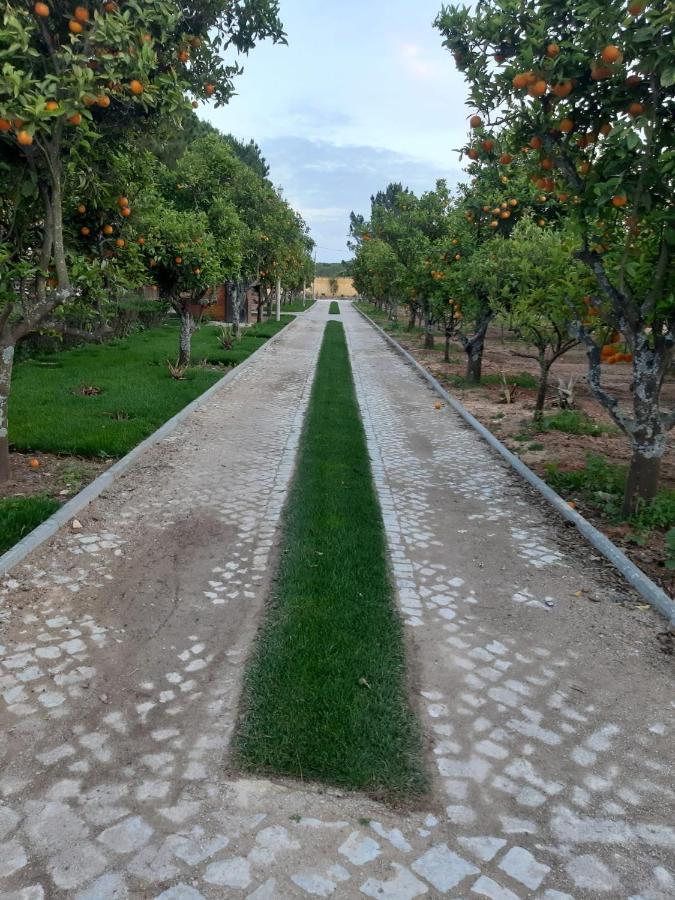 Quinta Vita - Vila Pera Алмансил Экстерьер фото